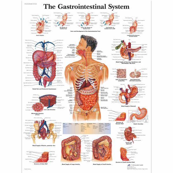 AK VR1422  GASTRO SISTEM