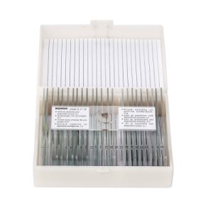 4976 - Opšta biologija (25 slajdova)