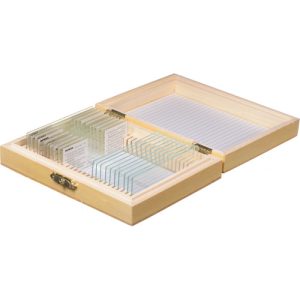 4979 - Protozoa (10 slajdova)